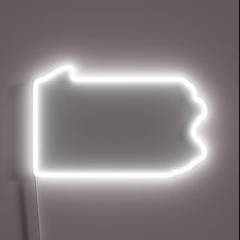 Charger l'image dans la galerie, BrewDog logo illuminated in vibrant RGB LED color scheme
