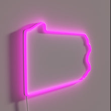 Charger l'image dans la galerie, BrewDog a vibrant, glowing neon sign in RGB colors