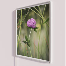 Charger l'image dans la galerie, Vibrant Rainbow Colored Illustration of a Clovers Semi Realistic Neon Sign