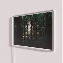 Charger l'image dans la galerie, Vibrant forest ambiance with full color RGB LED neon lighting