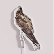 Charger l'image dans la galerie, Vibrant glowing bird of prey neon sign decor statement piece