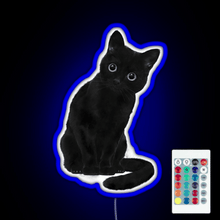 Charger l'image dans la galerie, Spooky Cute Cat RGB neon sign remote