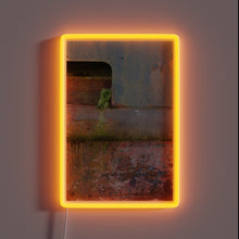 Charger l'image dans la galerie, Compact neon lighting kit with customizable RGB color options