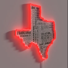 Charger l'image dans la galerie, Texas Beer Enthusiasts Unite with Dark Brown Neon Sign Glow