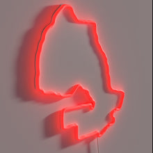 Charger l'image dans la galerie, Vintage Canada Map Neon Sign with Humorous Beer Reference