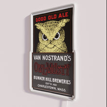 Charger l'image dans la galerie, Retro-inspired owl neon bar decor for craft brewery ambiance lighting