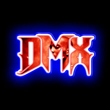 Charger l'image dans la galerie, DMX neon lgiht