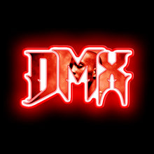 Charger l'image dans la galerie, DMX neon light