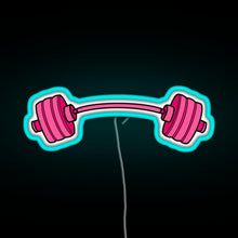 Charger l'image dans la galerie, pink curved barbell RGB neon sign lightblue
