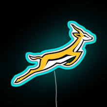 Charger l'image dans la galerie, Springbok RGB neon sign lightblue
