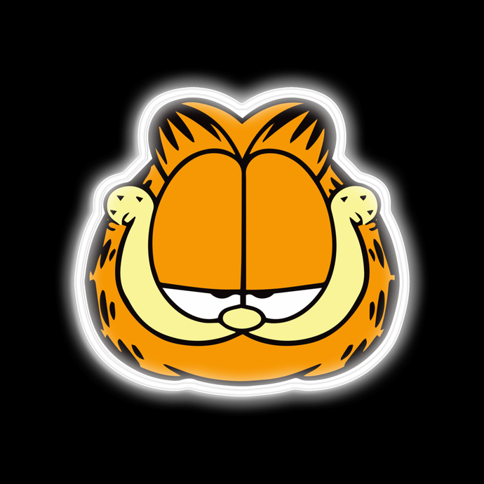 Le visage du néon de Garfield est USD165
