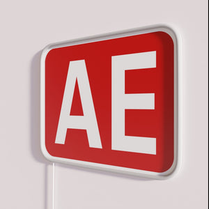 Personalized AE initials neon wall decor in vibrant colorful glow