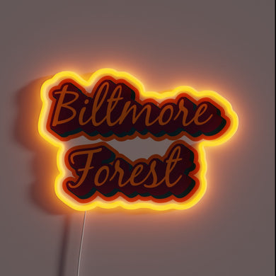 Brightly lit Biltmore Forest District of Asheville, Western North Carolina