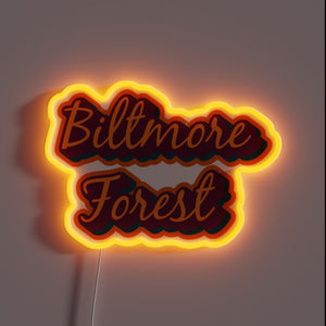 Brightly lit Biltmore Forest District of Asheville, Western North Carolina