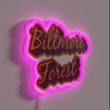 Charger l&#39;image dans la galerie, Beautifully designed Biltmore Forest District of Asheville North Carolina RGB neon.