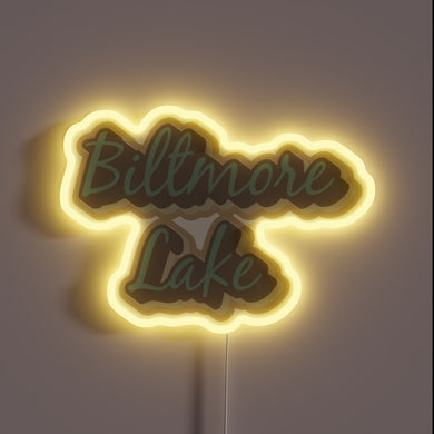 Vibrant Biltmore Lake neon sign illuminates Asheville's vibrant North Carolina charm.