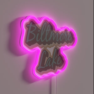 Vibrant RGB Neon Sign Featuring Iconic Biltmore Lake in Asheville