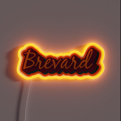 Brightly lit Asheville-inspired RGB neon sign for Brevard's WNC vibe