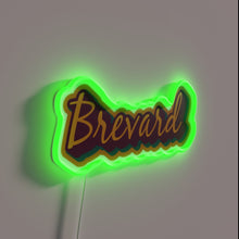 Charger l&#39;image dans la galerie, Handcrafted Brevard NC Asheville WNC themed RGB neon wall decor.
