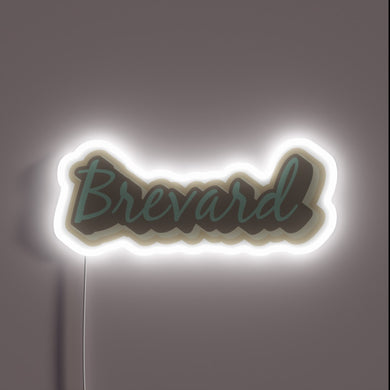 Brightly colored neon sign featuring Asheville's vibrant colors and charm