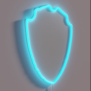 Vibrant BrewDog logo illuminates any room with British flair.