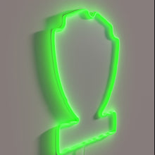 Charger l&#39;image dans la galerie, BrewDog logo in vibrant RGB neon light display