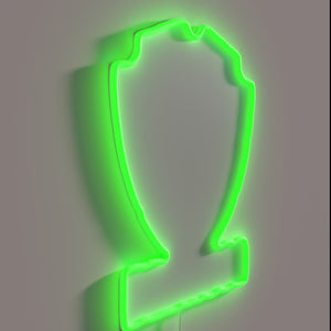 BrewDog logo in vibrant RGB neon light display
