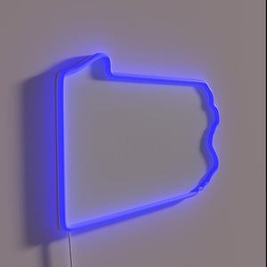 BrewDog brewery logo illuminated in vibrant RGB neon glow