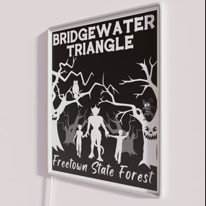 Brighten up your home with vibrant Bridgewater Triangle Freetown Neon Sign
