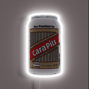 Glowing Neon Sign with 16 Color RGB Lighting Options