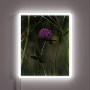 Vibrant Clover Bloom in Radiant Glowing Neon Semi Realistic Design