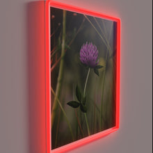 Charger l&#39;image dans la galerie, Vibrant Clovers in Bloom Semi Realistic Neon Sign Artwork Illumination