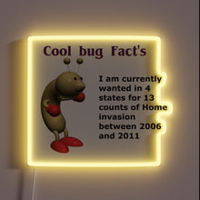Charger l&#39;image dans la galerie, Colorful home decor with educational insect facts in neon design.