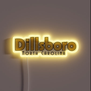 Vibrant Rainbow LED Sign: Dillsboro NC in Neon Lights Glory