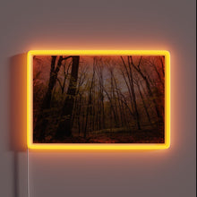 Charger l&#39;image dans la galerie, Softly glowing evening ambiance with vibrant color-changing LED neon lights.