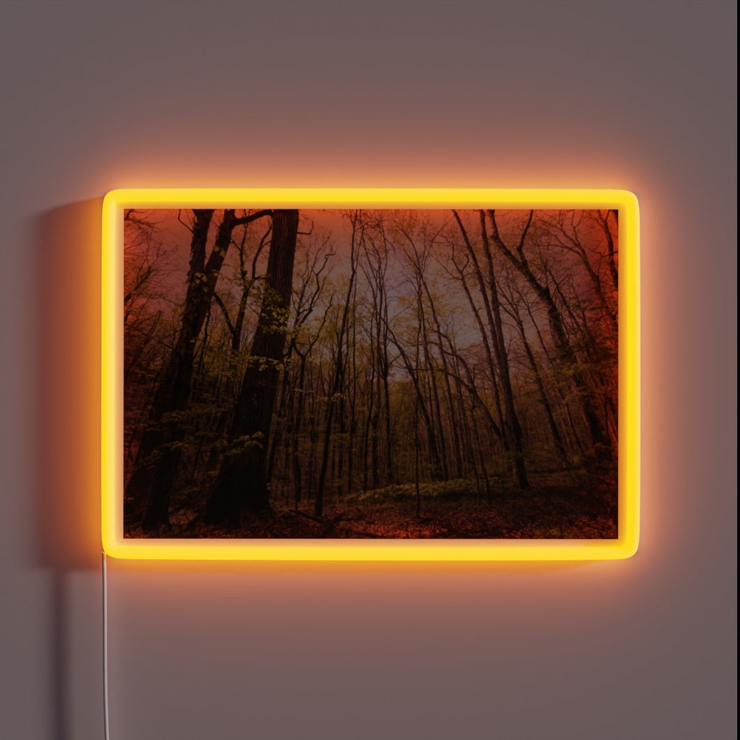 Softly glowing evening ambiance with vibrant color-changing LED neon lights.