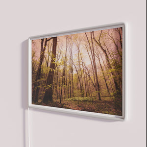 Vibrant Evening Ambiance with Color-Changing RGB Neon Wall Decor Accent