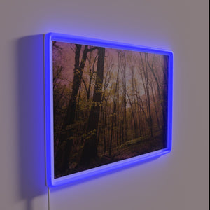 Dreamy ambiance with warm glow in vibrant RGB evening tones
