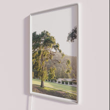 Charger l&#39;image dans la galerie, Vibrant evening ambiance with customizable color changing LED neon signage display.