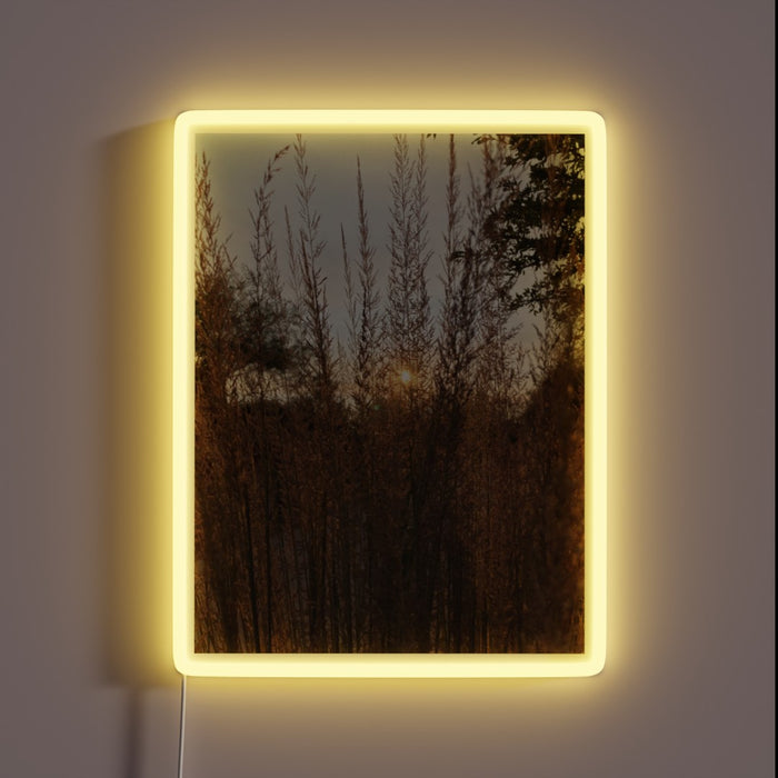 Brighten up your space with this vibrant evening glow ambiance