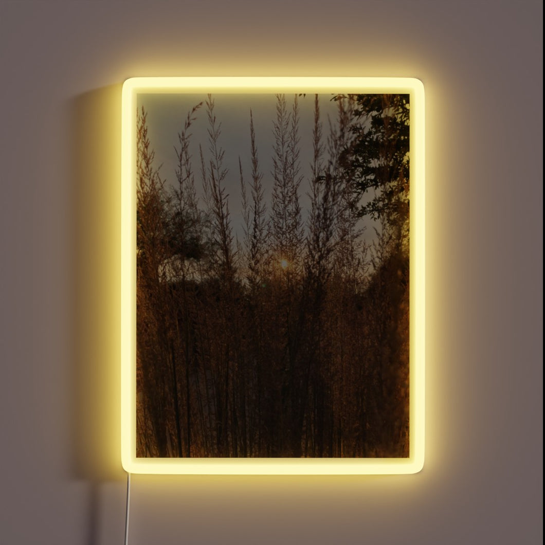 Brighten up your space with this vibrant evening glow ambiance