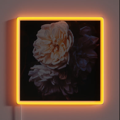 Soft-glowing evening ambiance with customizable RGB color changing options indoors.