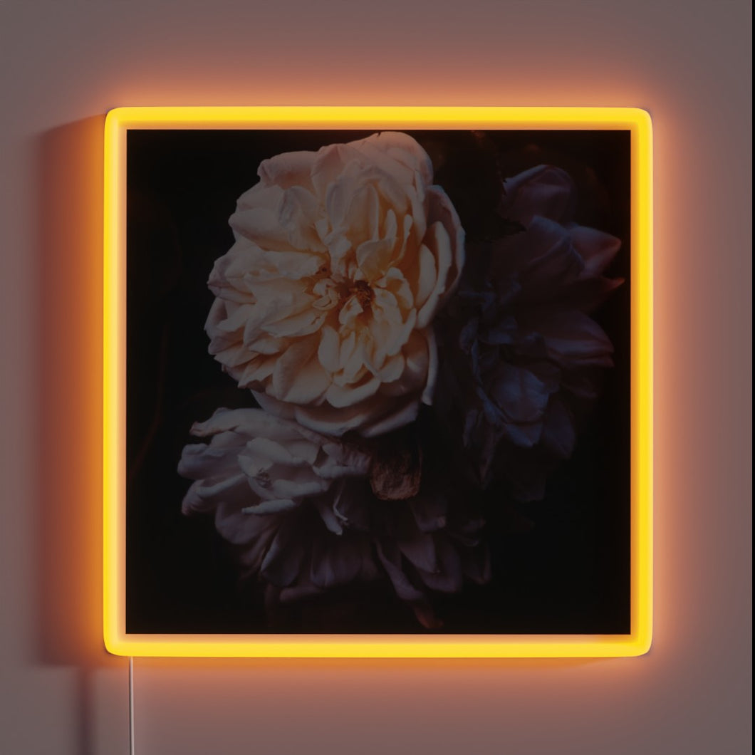 Soft-glowing evening ambiance with customizable RGB color changing options indoors.