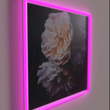 Charger l&#39;image dans la galerie, Softly Illuminated Evening Glow with Vibrant RGB Color Changing Neon Light.
