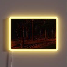 Charger l&#39;image dans la galerie, Elegant LED display emits vibrant colors in radiant evening ambiance.
