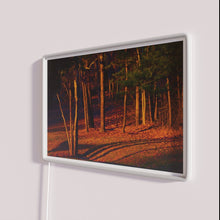 Charger l&#39;image dans la galerie, Vibrant evening ambiance with programmable color changing RGB LED neon signs.