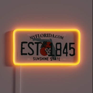 Neon sign of a Florida license plate with 
