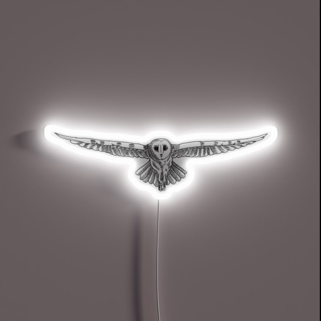 Winged wisdom shines bright with vibrant RGB glowing neon lights