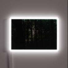 Charger l&#39;image dans la galerie, Soft glowed colorful LED lights bring ambiance to your space