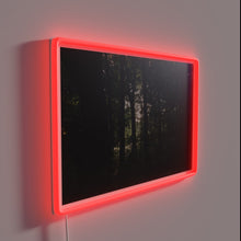 Charger l&#39;image dans la galerie, Ethereal Forest Light in Vibrant RGB Neon Sign Illumination